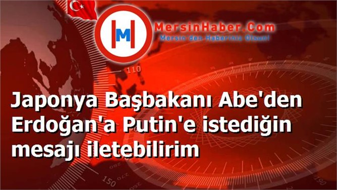 Japonya Başbakanı Abe'den Erdoğan'a Putin'e istediğin mesajı iletebilirim