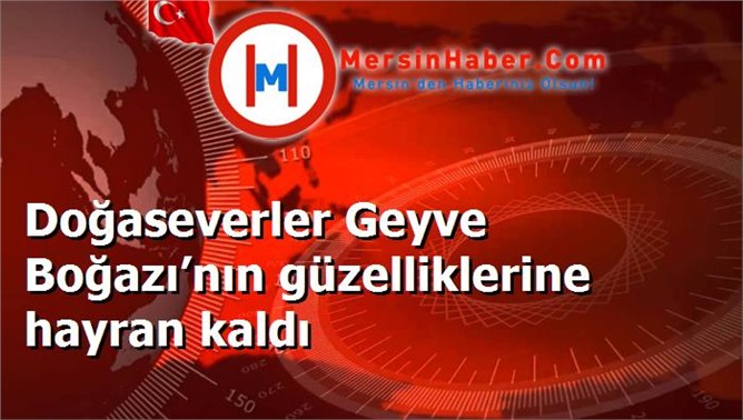 Doğaseverler Geyve Boğazı’nın güzelliklerine hayran kaldı