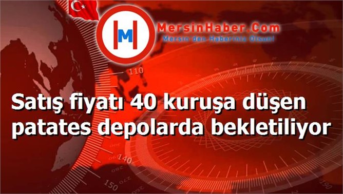 Satış fiyatı 40 kuruşa düşen patates depolarda bekletiliyor