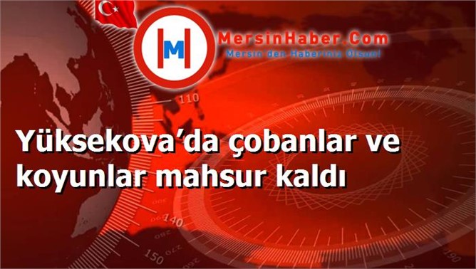 Yüksekova’da çobanlar ve koyunlar mahsur kaldı