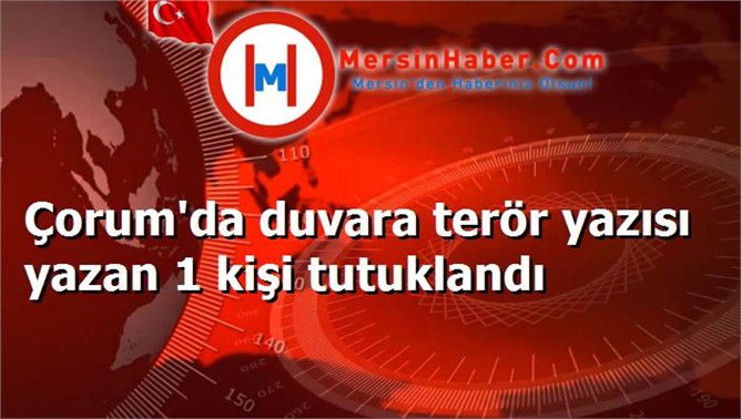 Çorum'da duvara terör yazısı yazan 1 kişi tutuklandı