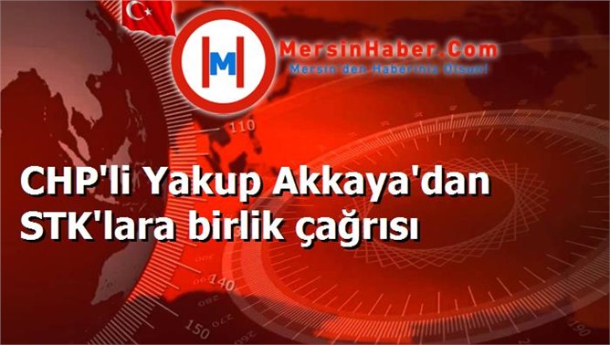 CHP'li Yakup Akkaya'dan STK'lara birlik çağrısı