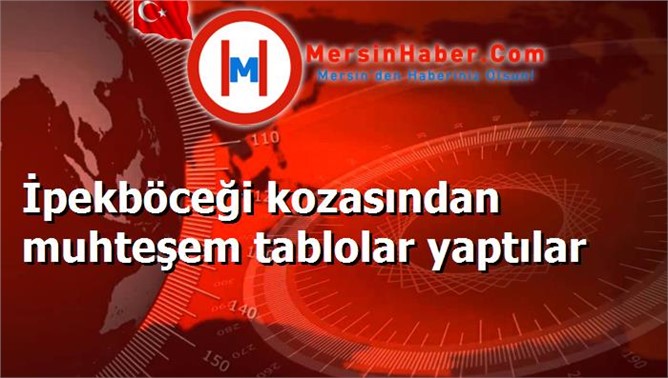İpekböceği kozasından muhteşem tablolar yaptılar