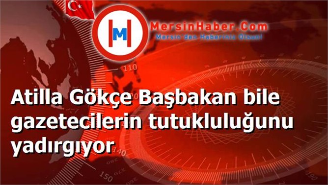 Atilla Gökçe Başbakan bile gazetecilerin tutukluluğunu yadırgıyor
