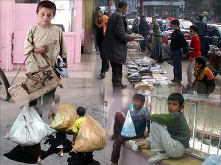 Çocuk İşçiliği Ve Çocuk Hakları Çalıştayı Düzenlendi