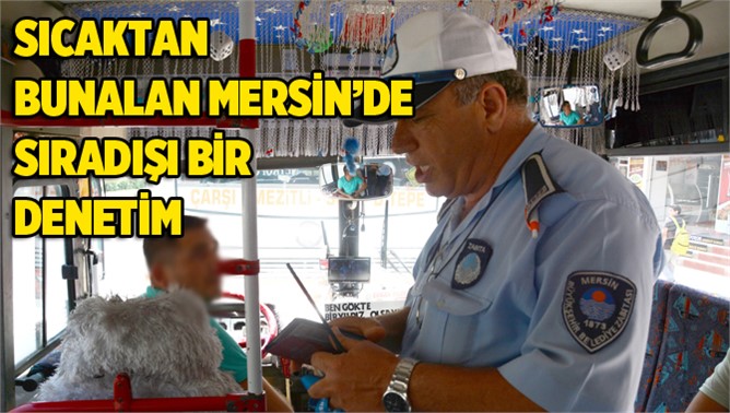 Mersin'de Toplu Taşıma Araçlarına Klima Denetimi