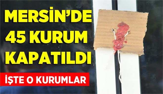Mersin'de 45 kurum kapatıldı 