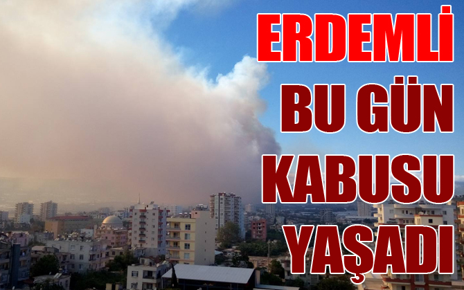 Mersin’de korkutan orman yangını