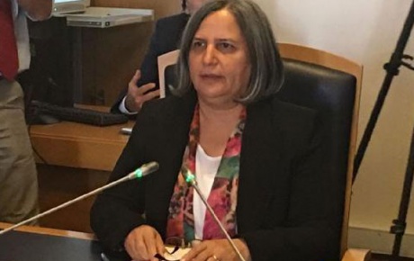 Son Dakika: Gülten Kışanak Gözaltına Alındı