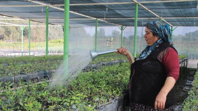 Mersin'de 10 Yılda 90 Milyona Yakın Fidan Üretildi