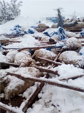 Mersin'de Kardan Dolayı 2 Çatı Çöktü