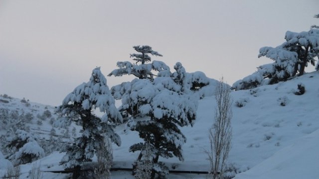 Mersin'de Kar Yağışı Devam Ediyor: Sel Uyarısı Yapıldı