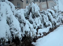 Mersin'in İki İlçesinde Tüm Okullar Kardan Dolayı Tatil Edildi