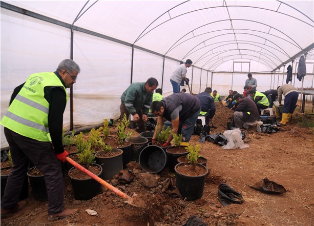 ERDEMLİ BELEDİYESİ KENDİ ÇİÇEĞİNİ KENDİ ÜRETİYOR 