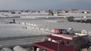 Mersin'de Sel 55 Bin Dekar Sera Alanını Vurdu