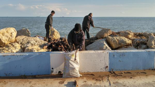 Mersin'de Selde Sahile Vuran Ağaç Dalları Isınmak İsteyen Yoksul Aileleri Sevindirdi