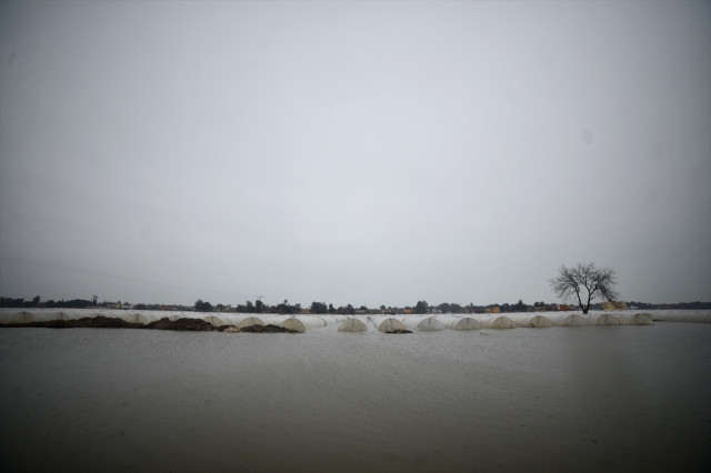 Mersin'de Çiftçiler Selden Sonra Kalan Ürünleri Kurtarmaya Çalışıyor