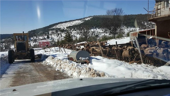 KARDAN YOLLAR KAPANDI