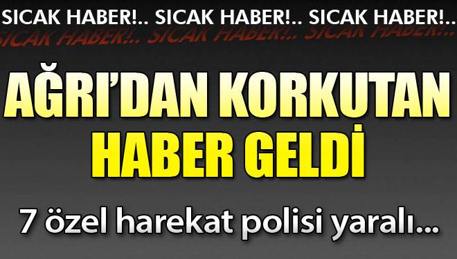 Doğubayazıt'ta zırhlı polis aracı devrildi