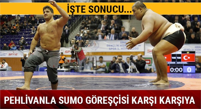 Sumo göreşçisi ile Türk pehlivan karşı karşıya