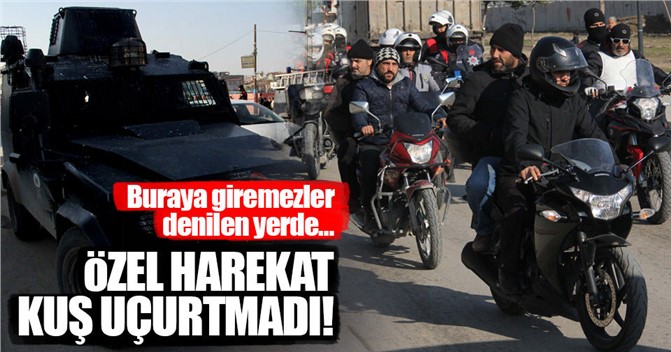 'Polis giremez' denilen bölgede özel harekat kuş uçurtmadı