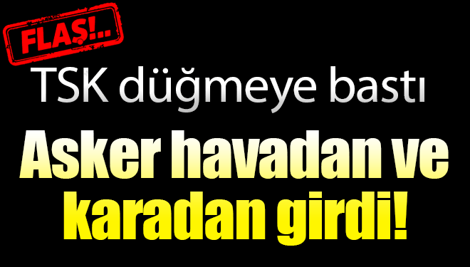 Havadan ve karadan büyük operasyon başladı