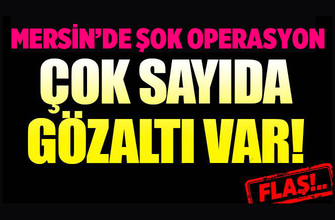 Mersin'de Terör Örgütü DHKP-C Operasyonu
