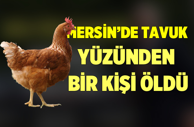 Mersin'de Tavuk Kavgasında Bir Kişi Öldü