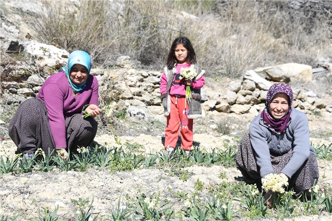 ERDEMLİ DE İSTEDİ, BÜYÜKŞEHİR YETİŞTİ
