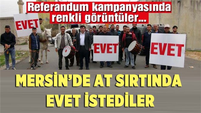 Mersin'de davul-zurnayla at üstünde ‘Evet’ istediler