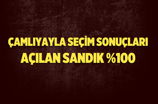 Çamlıyayla Referandum Sonuçları 2017, Evet Hayır Oy Oranları