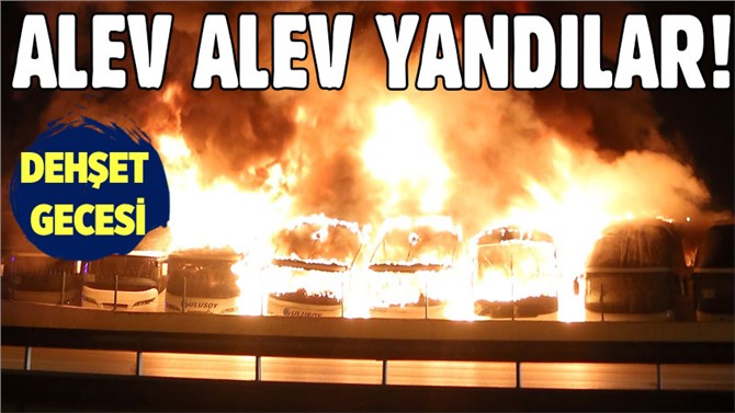 Bursa'da 6 tane yolcu otobüsü alev alev yandı