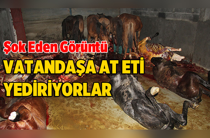 Et Baskınında Kesilmiş Atlar Bulundu