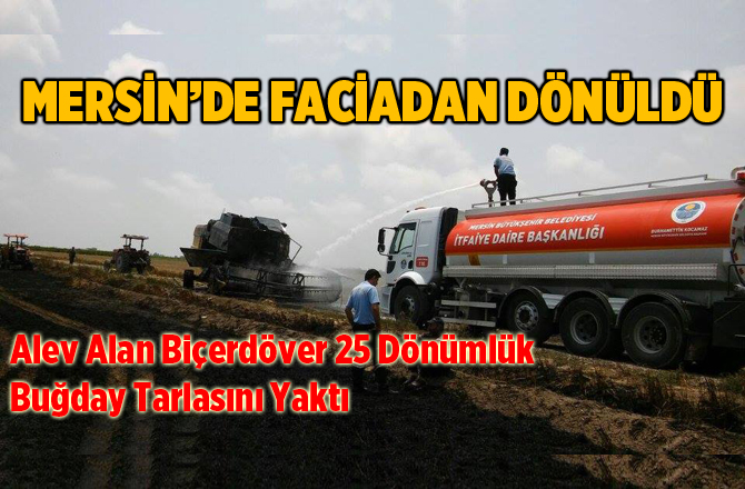 Alev Alan Biçerdöver, 25 Dönüm Ekili Alanı Yaktı