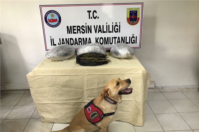 Mersin Jandarma'sından Uyuşturucu Madde Kaçakçılığı Yapanlara Operasyon