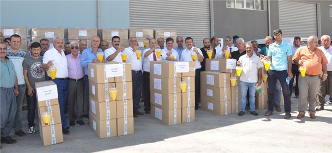 Tarsus’ta Akdeniz Meyve Sineğine Karşı Tuzaklar Dağıtıldı