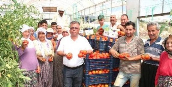Domates Üreticilerinden Canan Karatay'a Tepki