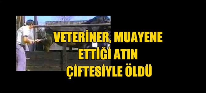 Pozantı'da Veteriner, muayene ettiği atın çiftesiyle öldü