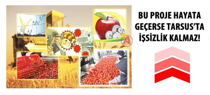 Bu Proje Hayata Geçerse Tarsus’ta İşsizlik Kalmaz!