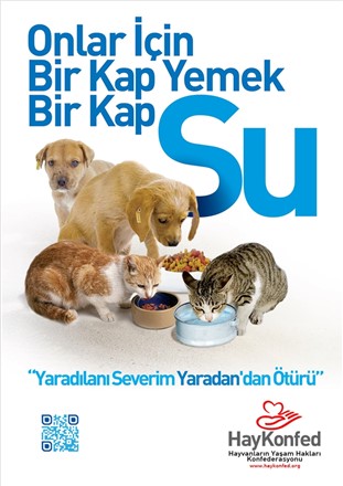 Hayvanların Yaşam Alanlarını Yok Etmeyelim