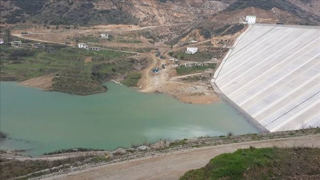 Kıbrıs´a Dragon Çayı Hayat Verecek