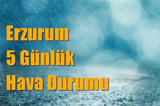 Erzurum Hava Durumu (5 Günlük)