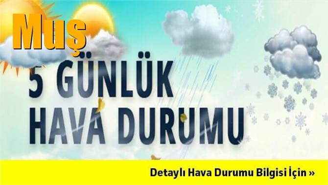 Muş Hava Durumu