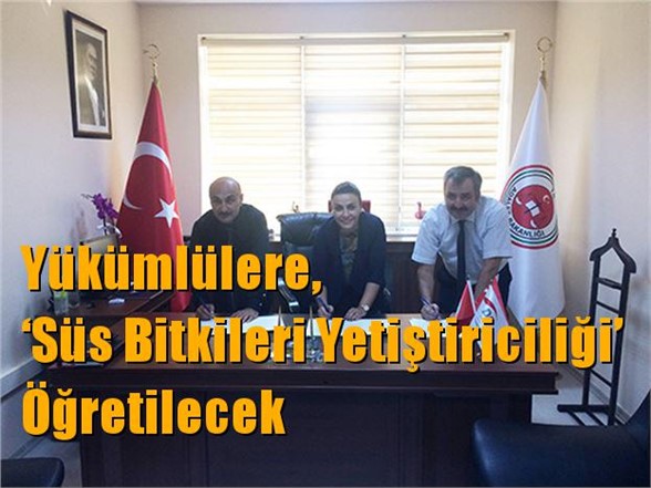 Yükümlülere, ‘Süs Bitkileri Yetiştiriciliği’ Öğretilecek