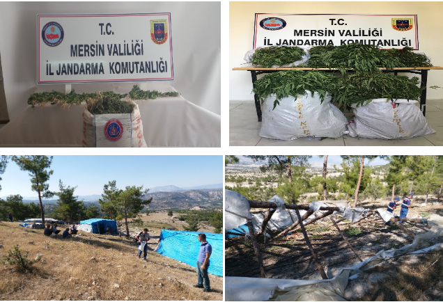 Mersin, Tarsus ve Mut'ta Jandarmadan Uyuşturucu Operasyonu