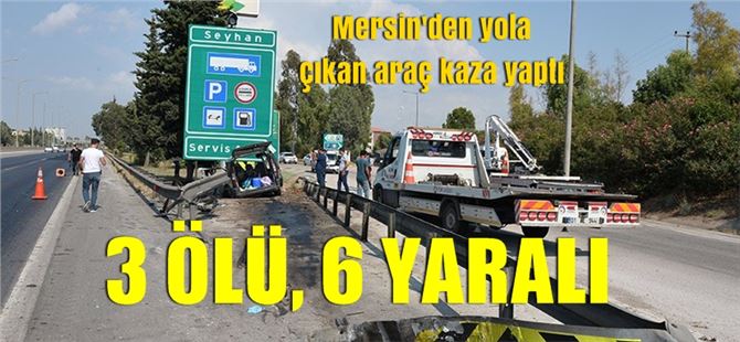 Araç Yol Kenarındaki Levhaya Çarptı : 3 Ölü, 6 Yaralı