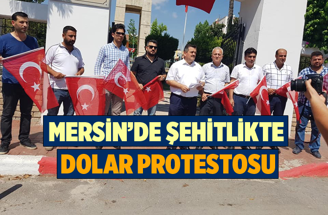 Mersin'de Şehitlikte Dolar Protestosu
