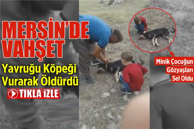 Mersin’de Bir Kişi Komşusunun Yavru Köpeğini Silahla Vurarak Öldürdü