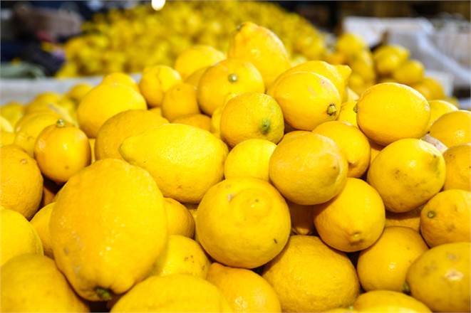 Başkan Tollu’dan Erdemli'ye Limonata Fabrikası Müjdesi
