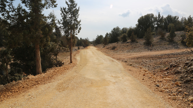 Erdemli'de Yirmi Yıllık Yola, Başkan Tollu Neşteri